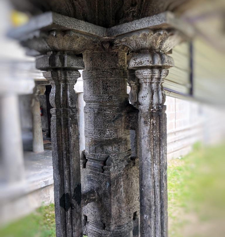 Sri Sundara Varadaraja Perumal Temple景点图片