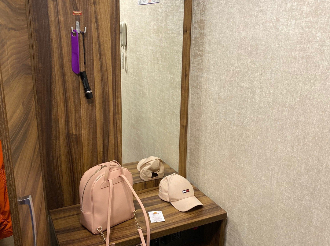 Hotel Petrovskiy主图