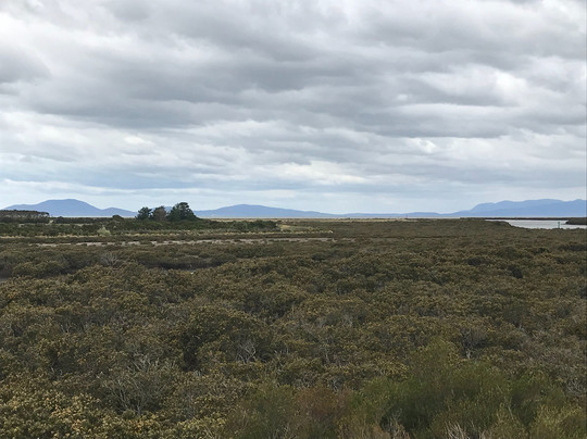 Port Franklin Public Purposes Reserve-Port Franklin必去景点