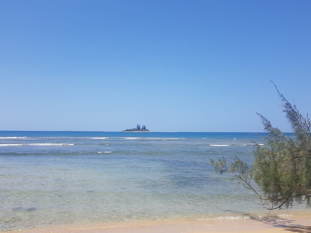 Tibarama Island-Poindimie必去景点