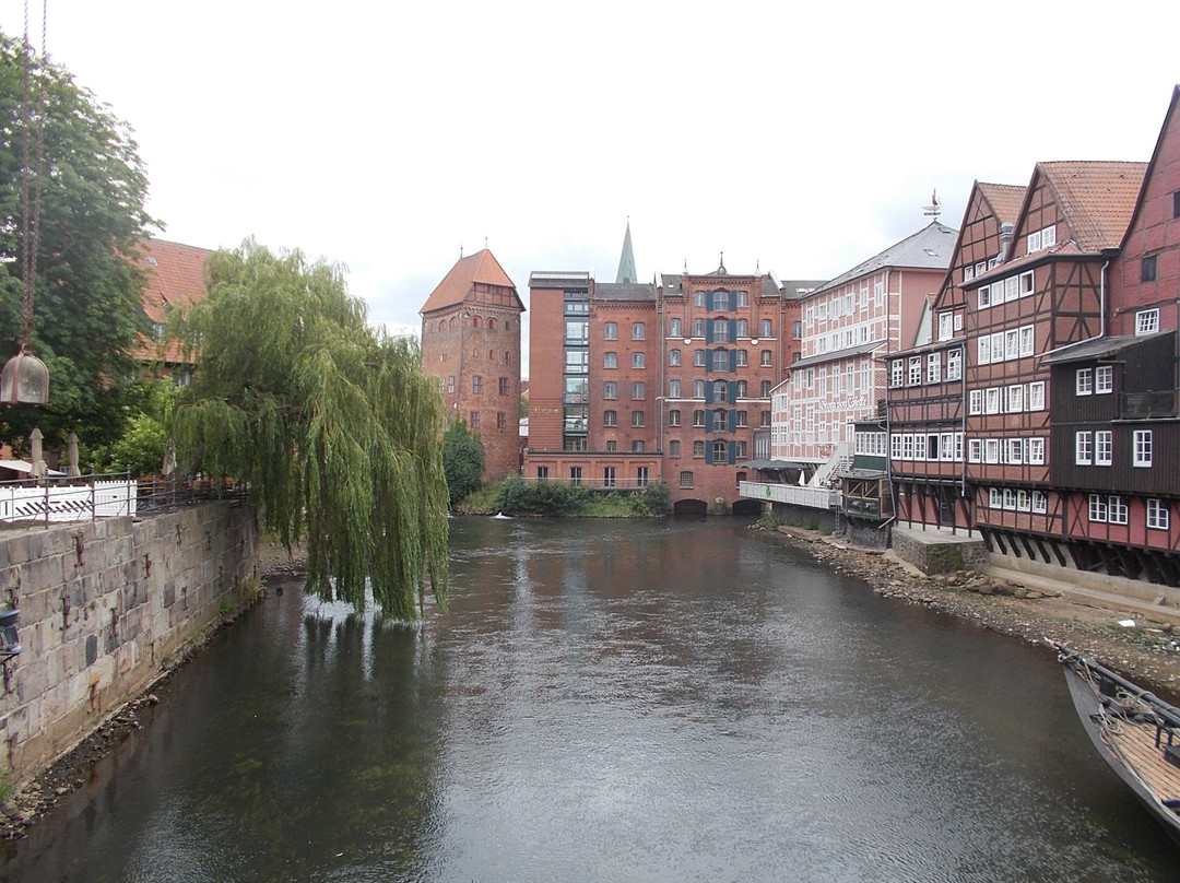 Stintmarkt im Lüneburger Hafen景点图片
