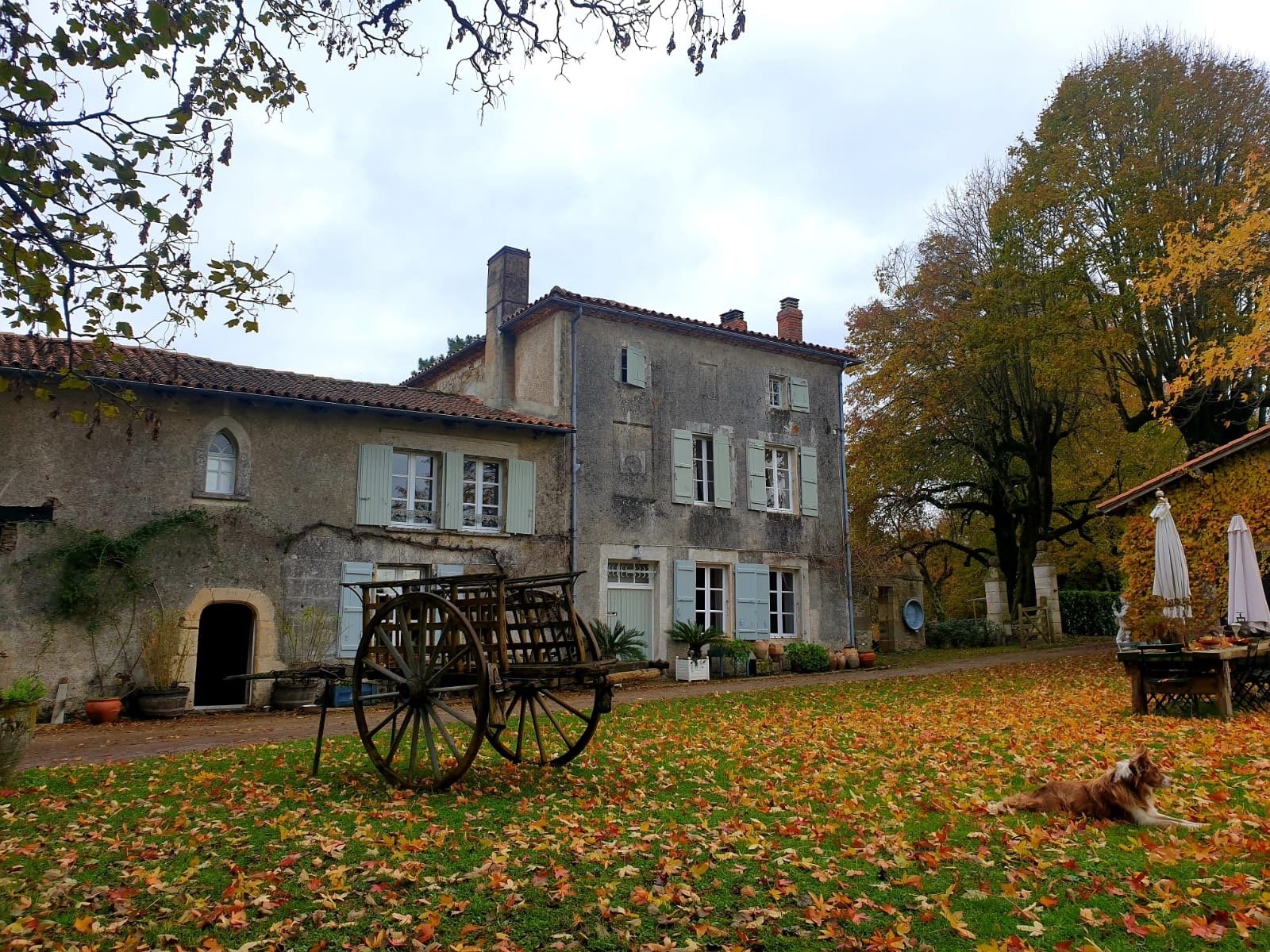 Domaine de Lalat-官方