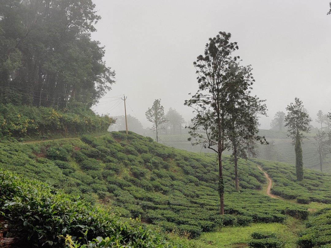 Ciceronis Travel-Pozhuthana必去景点