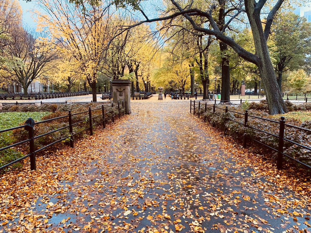 Official Central Park pedicab Tours-纽约市必去景点