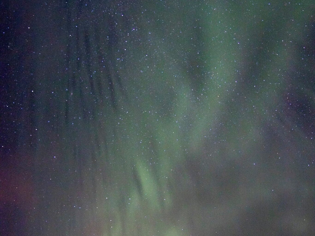 Kiruna Aurora Borealis - Northern Lights Tours景点图片