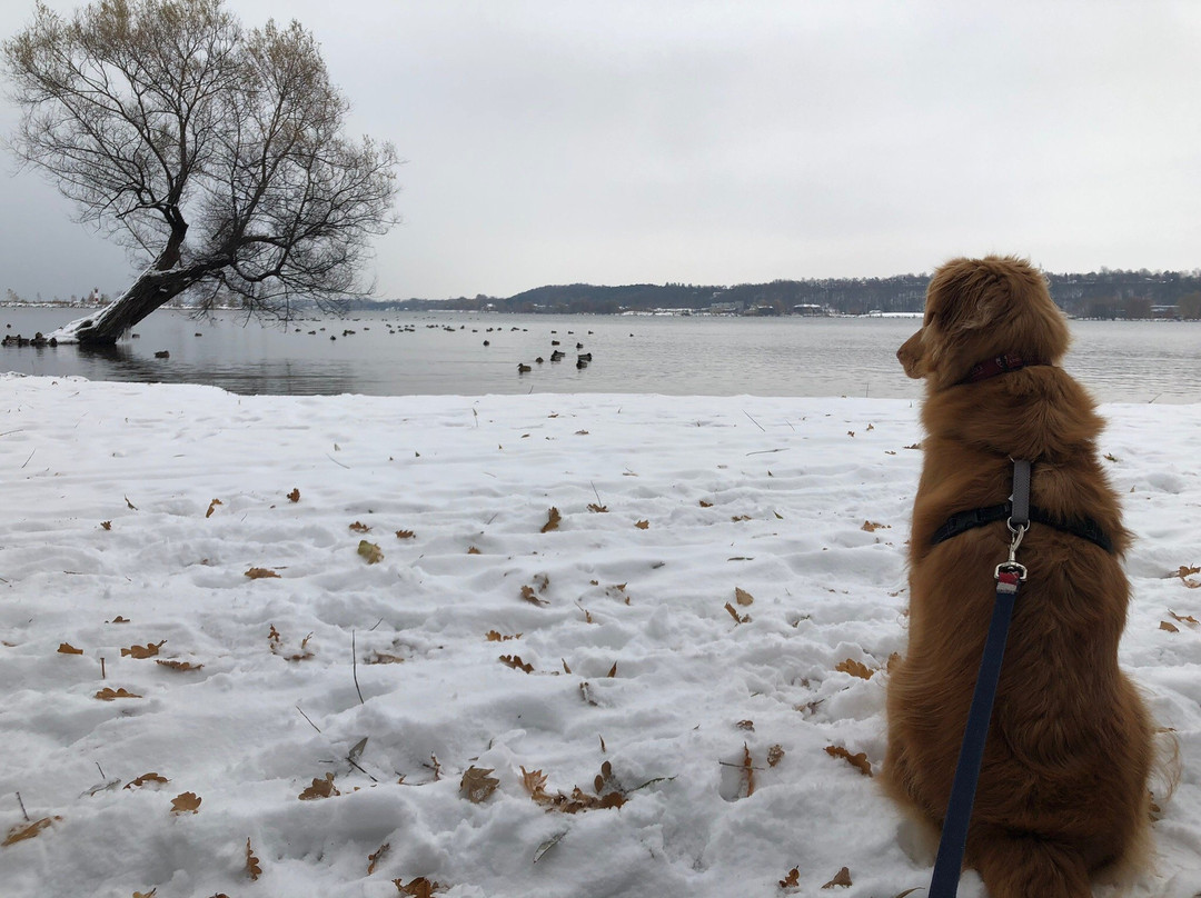 Kelso Beach Park-Owen Sound必去景点