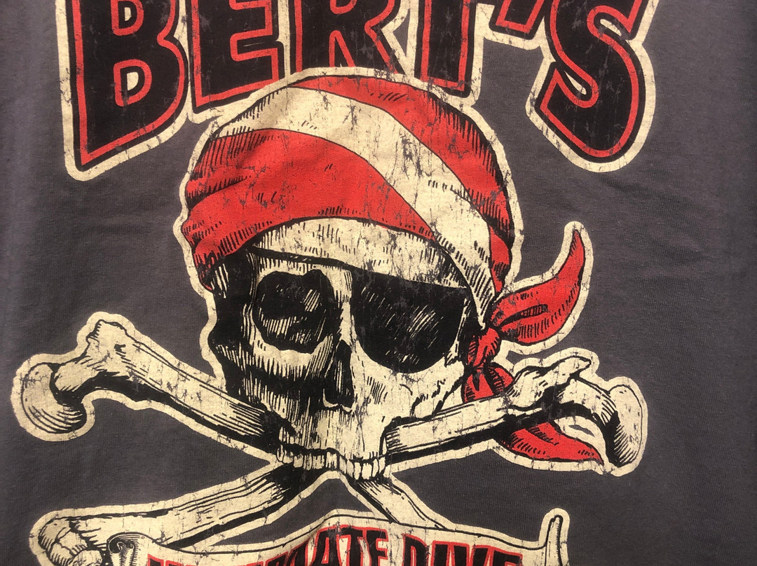 Bert's Pine Bay Gallery景点图片