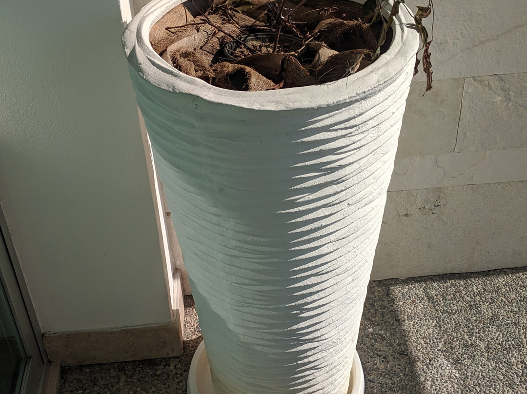 The Grand Bliss at Vidanta Nuevo Vallarta主图