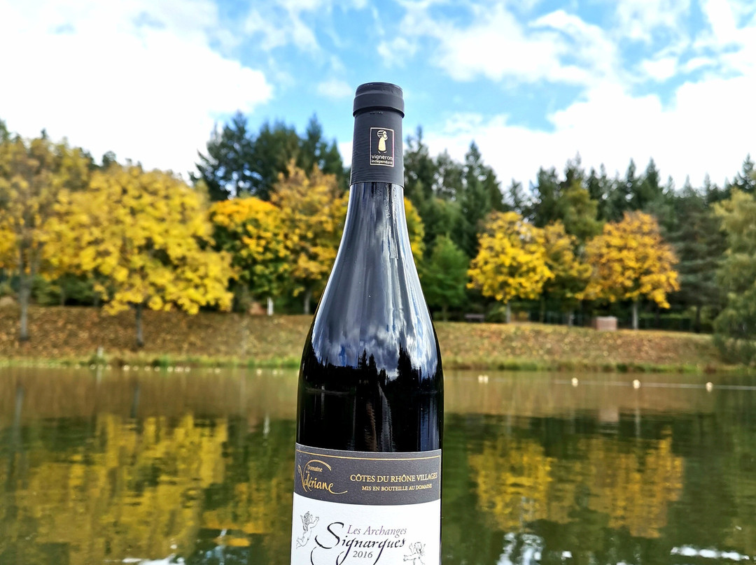 Domaine de la Valeriane-Domazan必去景点