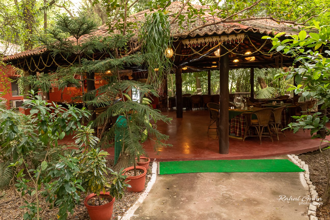 Sunderban Tiger Camp-餐饮