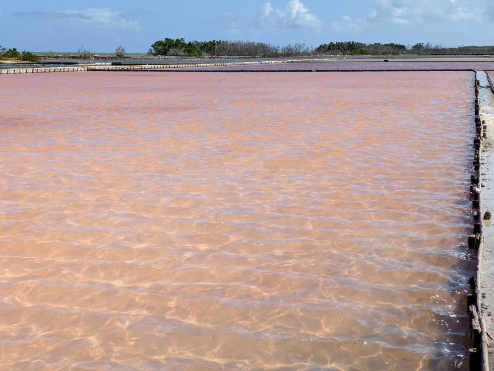 Salinas de Cabo Rojo-Cabo Rojo必去景点