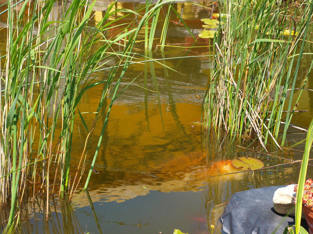 Landhotel zum Honigdieb主图