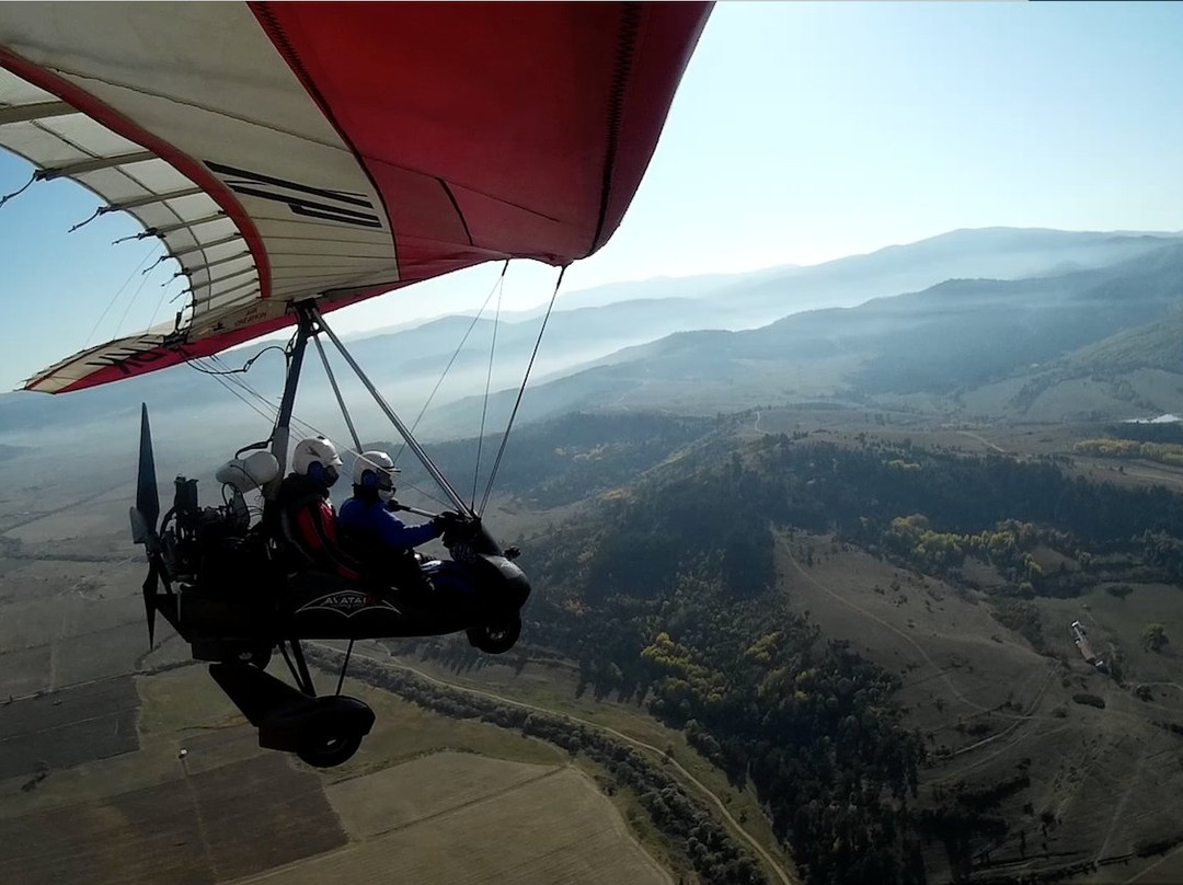 Avatar Extreme Sport-韦林格勒必去景点