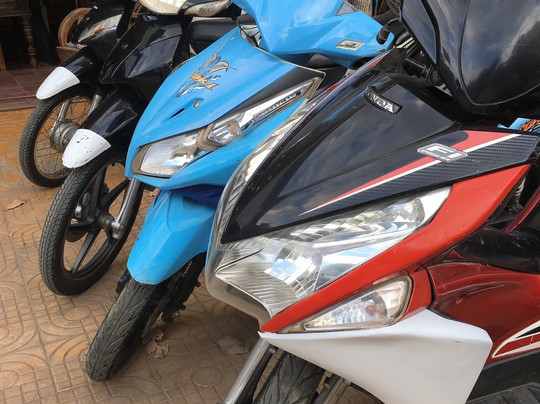 The Gecko Battambang (Jewery & Souvenir)-马德望必去景点