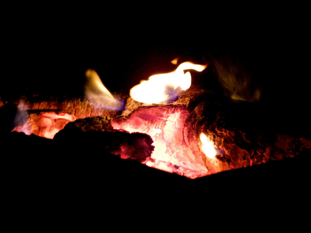 The Yash Resort主图