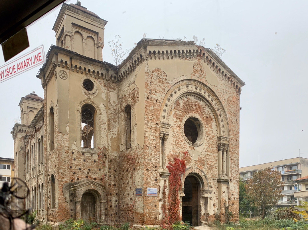 Vidin Synagogue-Vidin必去景点