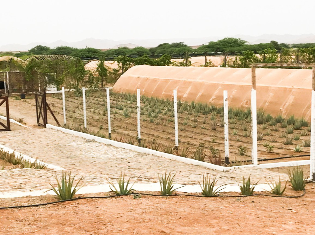 Montrigo Oasi-博阿维斯塔必去景点