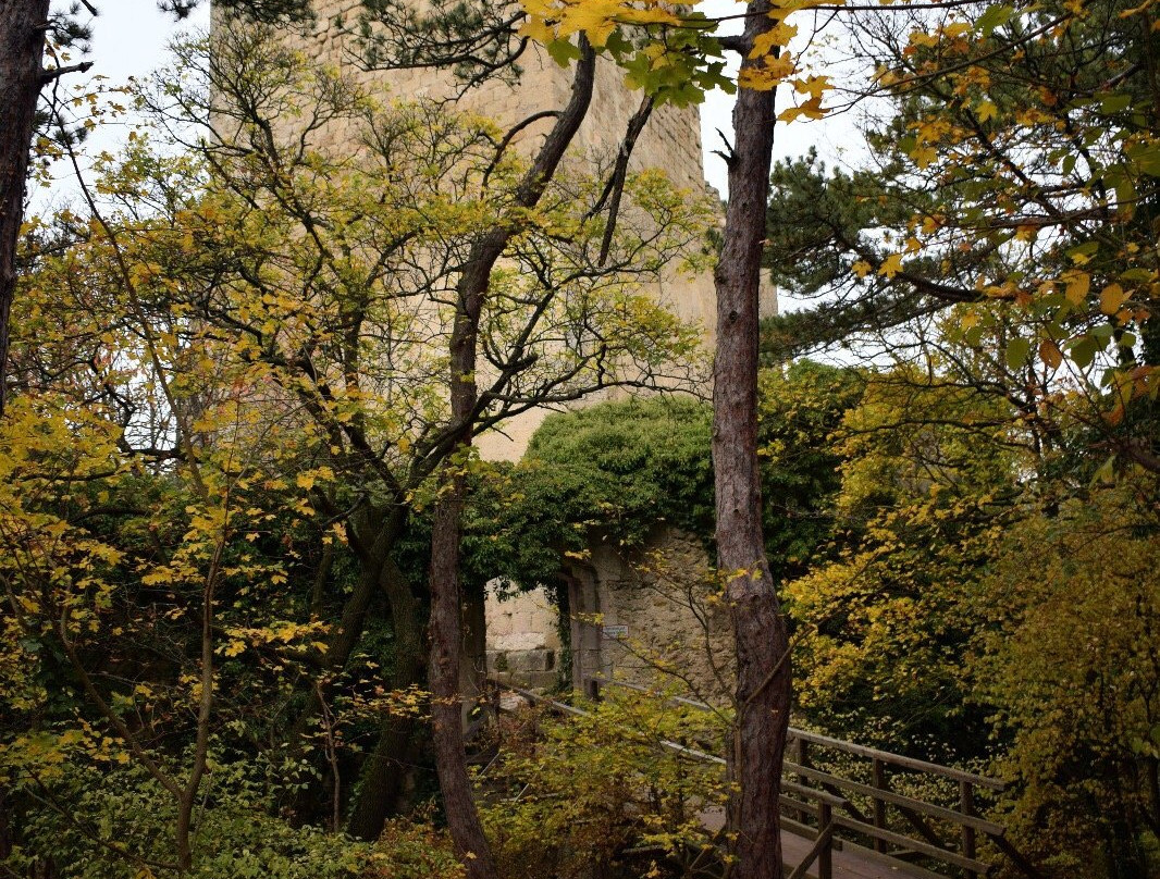 Ruine Rauheneck-巴敦必去景点
