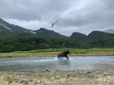 Andrews Airways-Kodiak必去景点