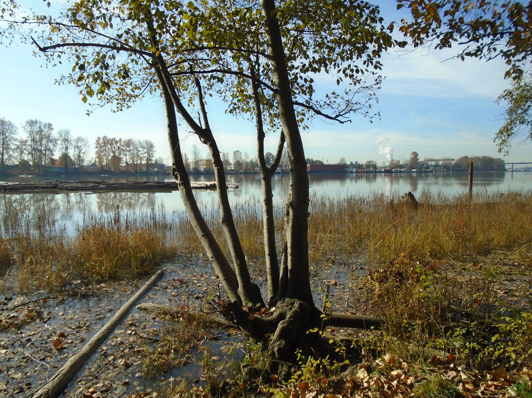 River Front Park景点图片