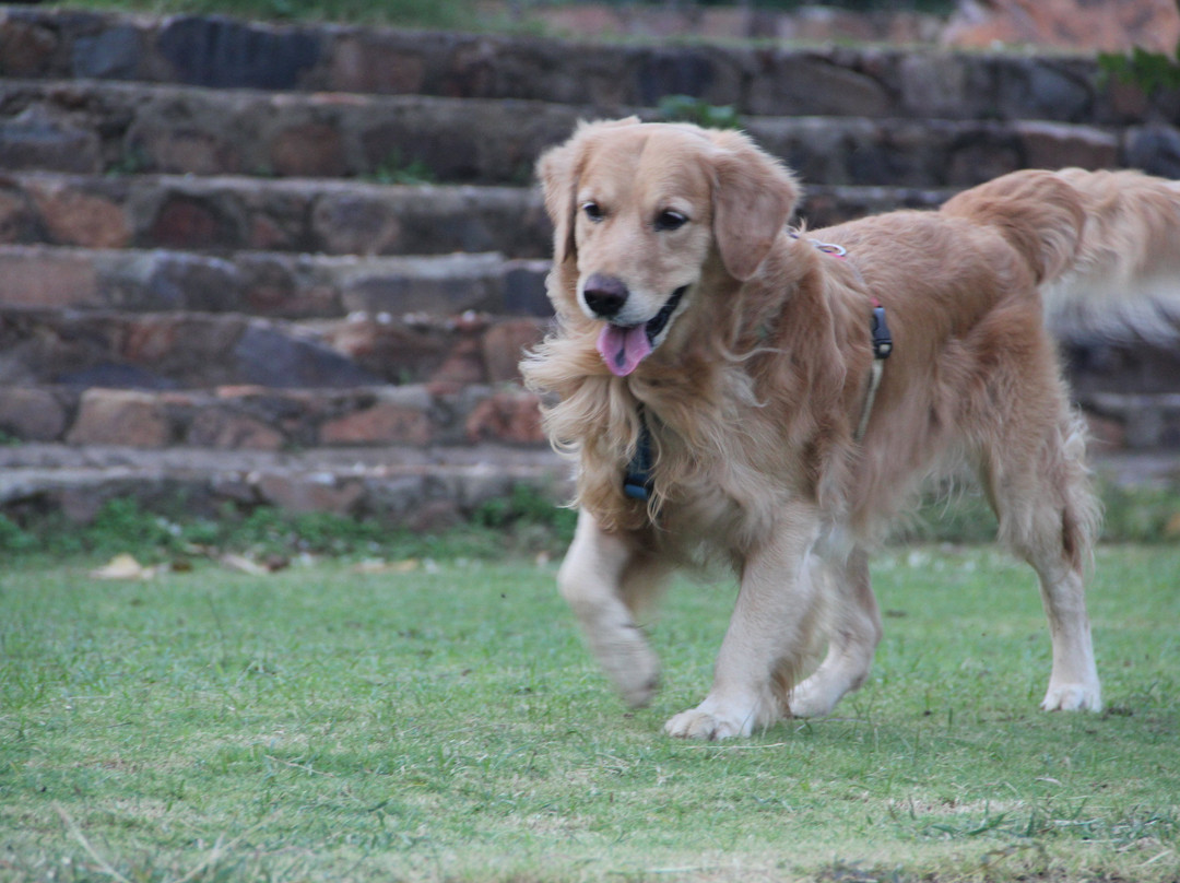 Neemrana's - Tijara Fort Palace主图