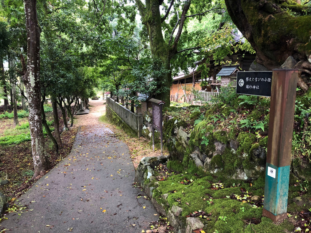 Morosugi Shrine-丰冈市必去景点