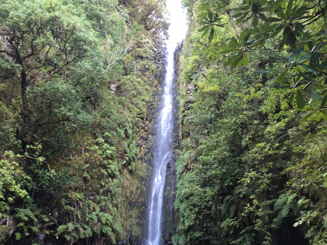 Madeira Explorers-沙尔必去景点