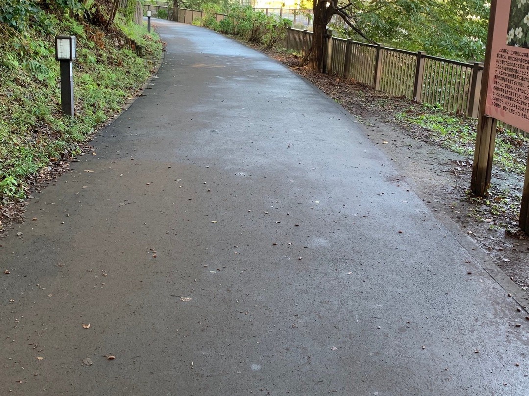 Egota-no-Mori Park-中野区必去景点