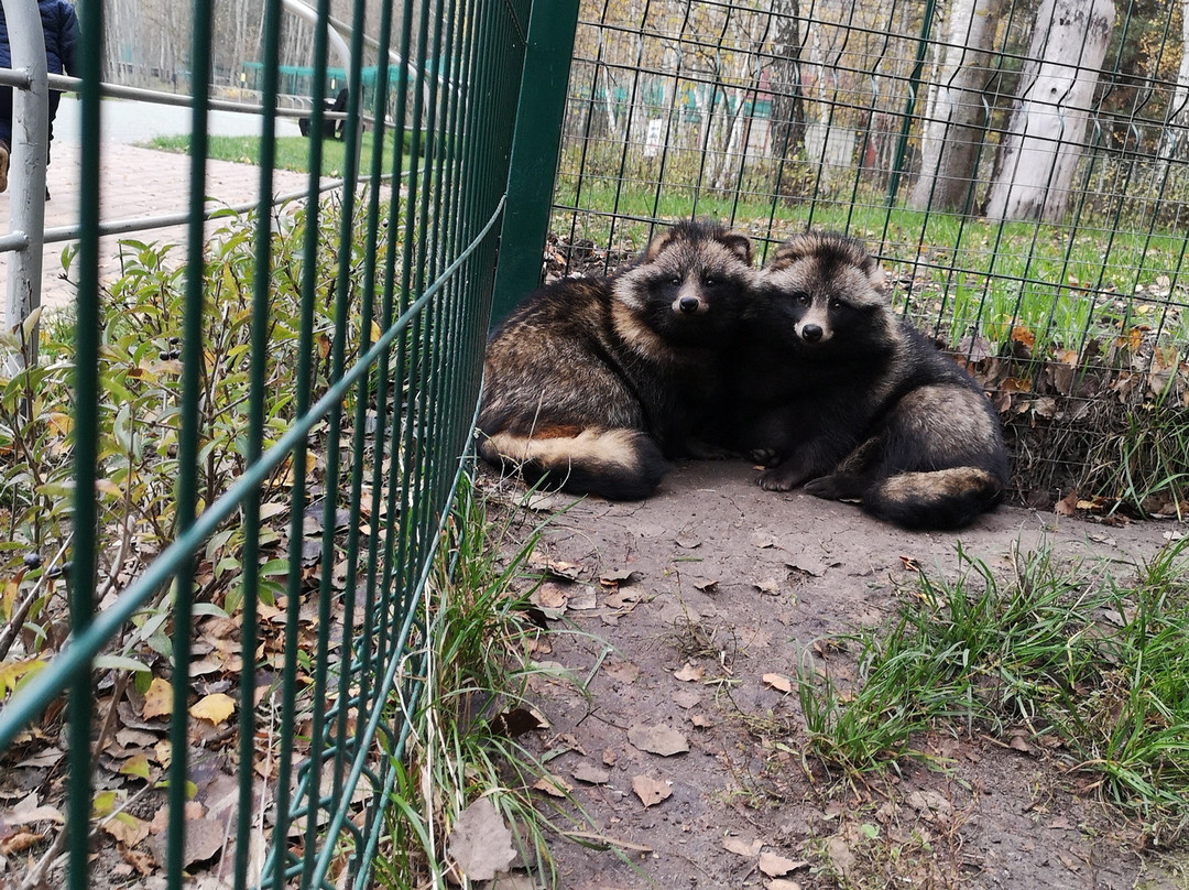 Belgorod Zoo景点图片