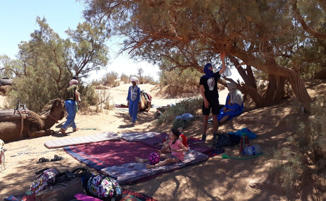 Sables Emouvants-迈哈米德必去景点