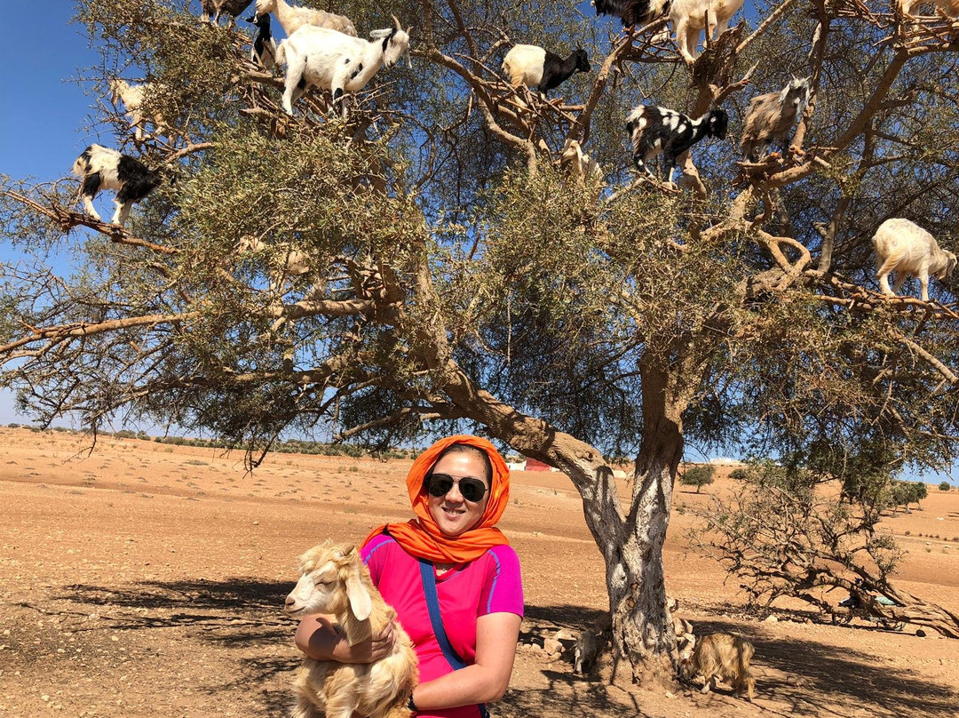 Merzouga Dunestrip Day Tours-梅如卡必去景点