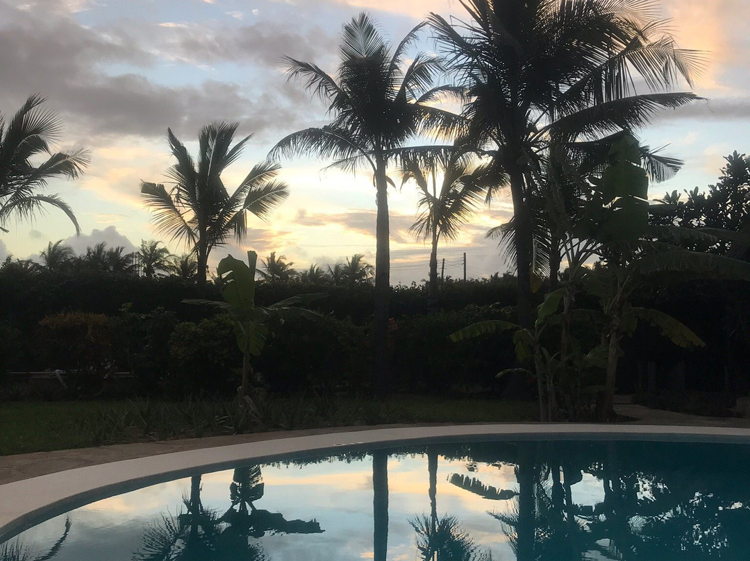 Pearl of Afrika主图