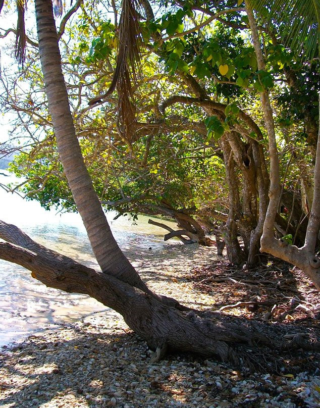 Kanua Tera Ecolodge主图