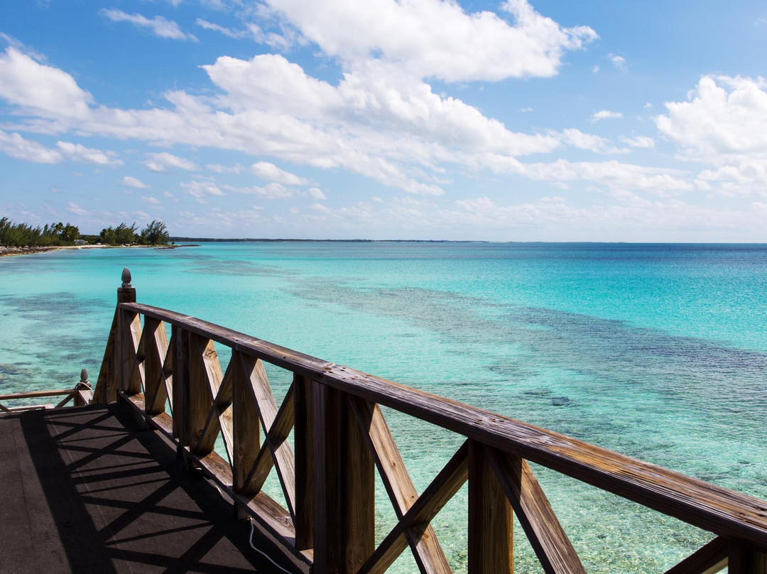 Cat Island旅游景点-Cocktails by the Sea