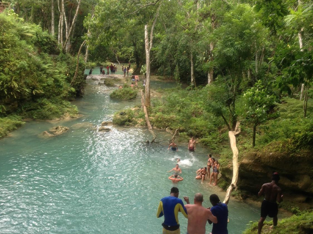 Liberty Tours Jamaica - Day Tours景点图片