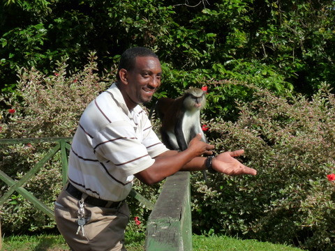 Chris's Tours and Taxi-St. George's必去景点