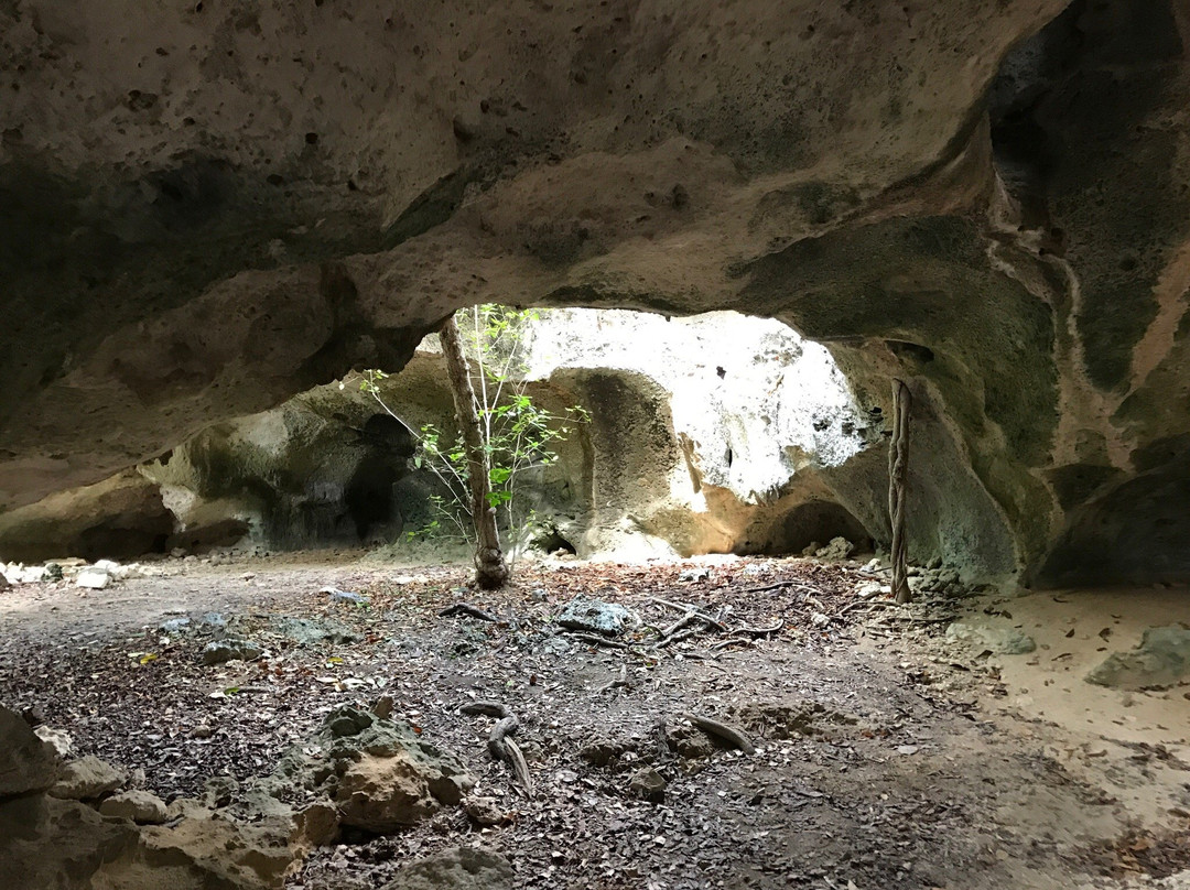 Rebecca's Cave景点图片