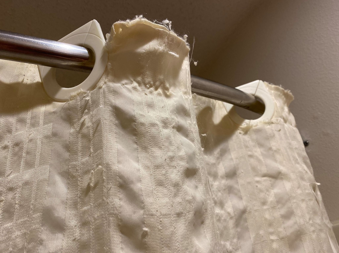 德斯普兰斯贝斯特韦斯特酒店主图