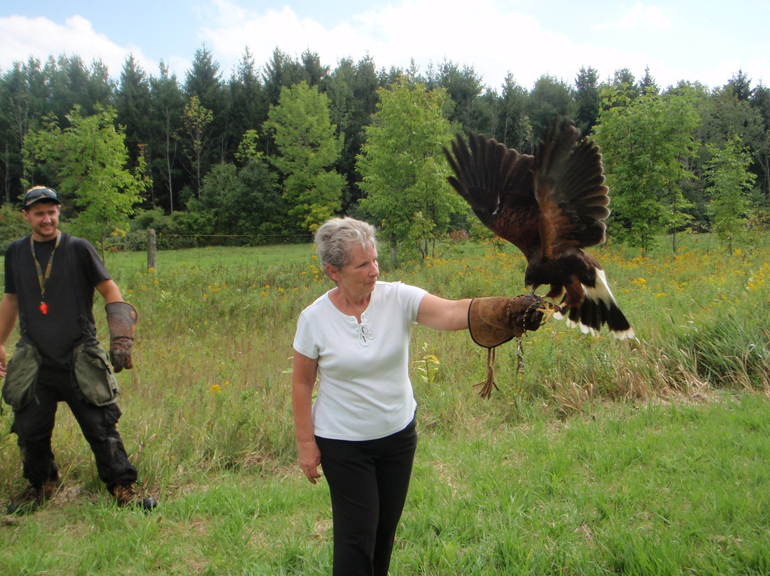 Hawkeye Bird and Animal Control-Erin必去景点