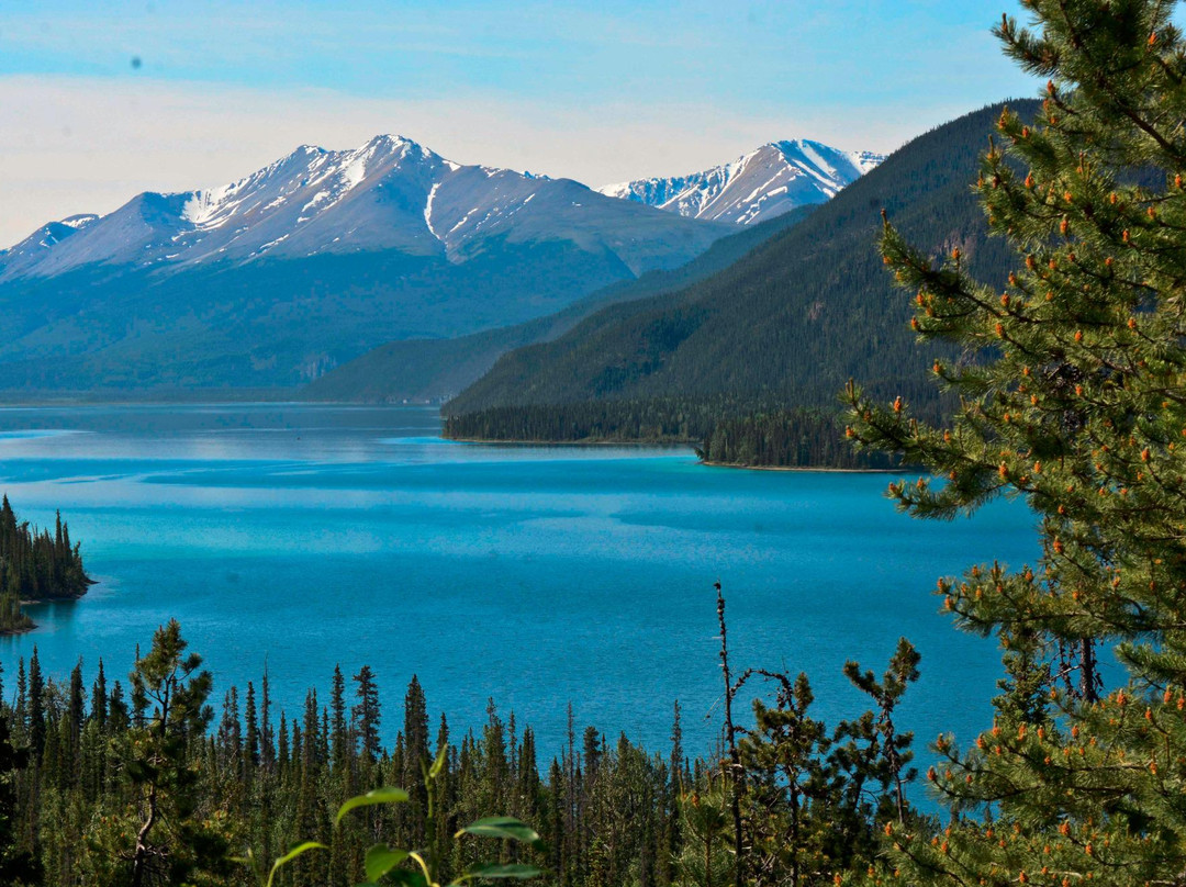Muncho Lake Provincial Park景点图片