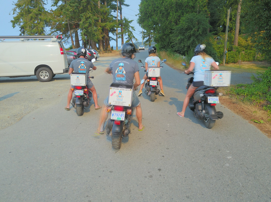 Scotty's Rentals-吉布森斯必去景点