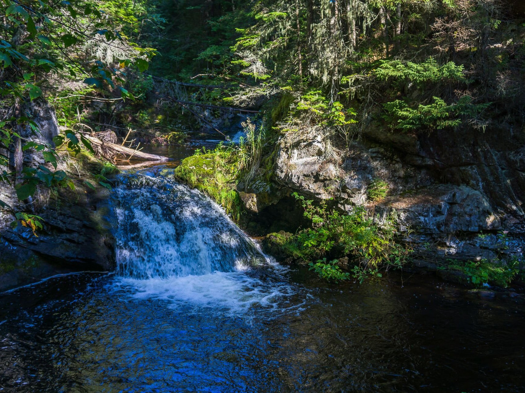 Sentier De La Forêt Marine