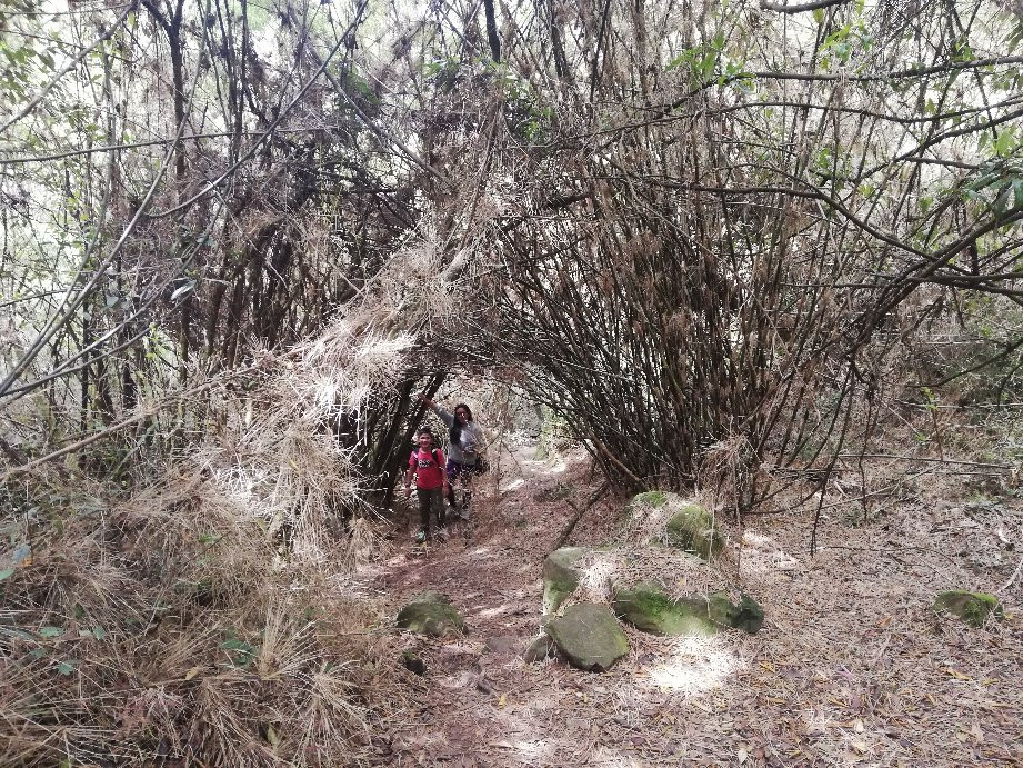 Sendero Ecologico la Zarza-Duitama必去景点