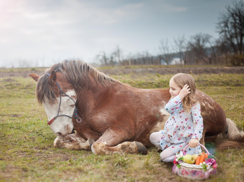 Horse riding club "Tempo"-利沃夫必去景点