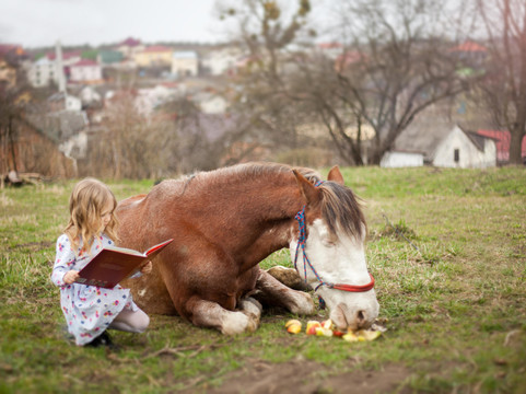 Horse riding club "Tempo"-利沃夫必去景点