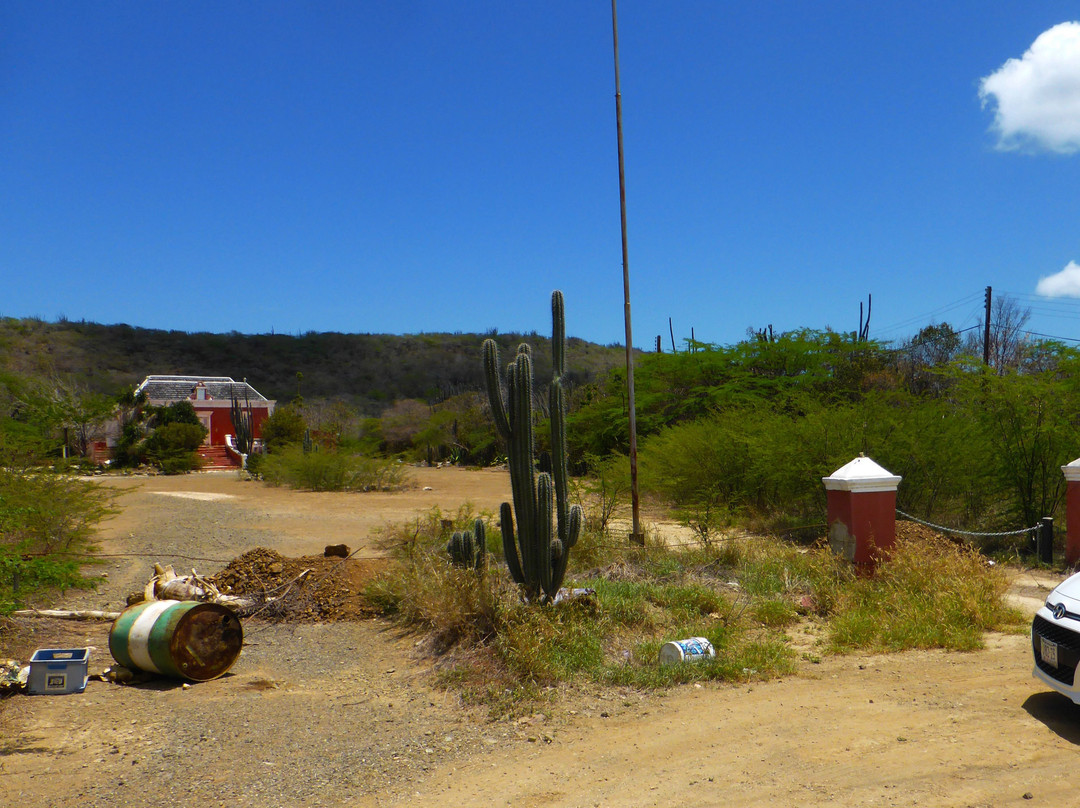 Landhuis Papaya-威廉斯塔德必去景点