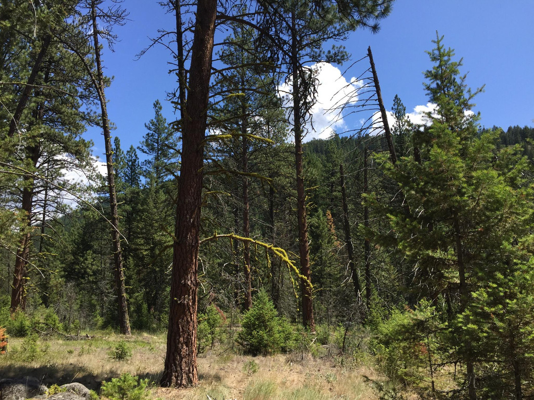 Rattlesnake National Recreation Area-米苏拉必去景点