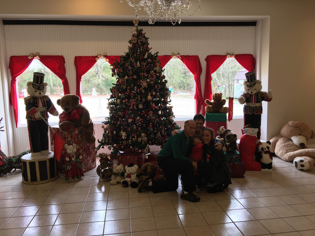 Picayune旅游景点-The Teddy Bear House Museum