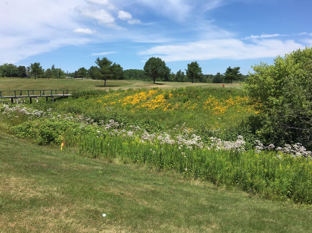 Bar Harbor Golf Course景点图片