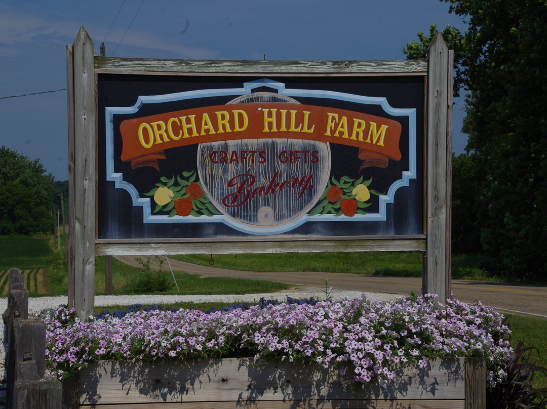 Orchard Hill Farm景点图片